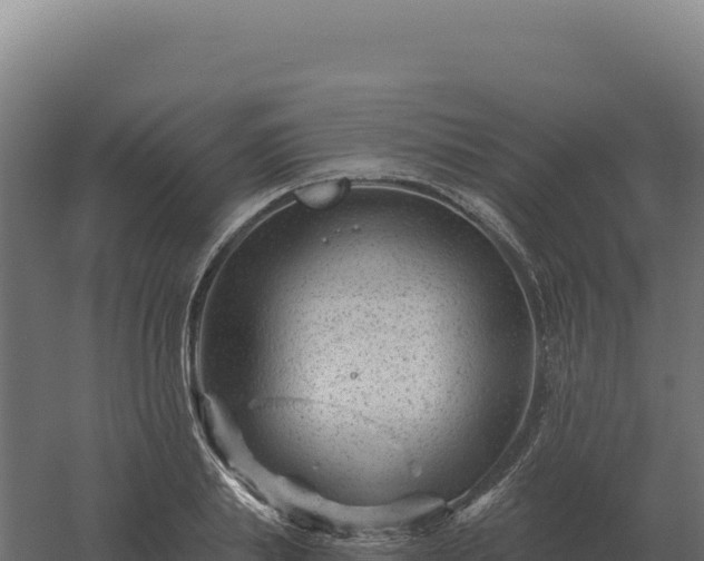 X0000061150839200511241829