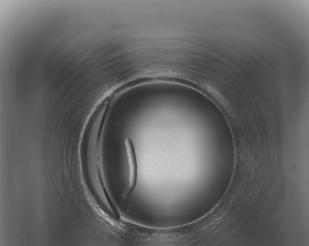 X0000061150840200511241829