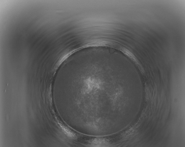 X0000061150842200511241829