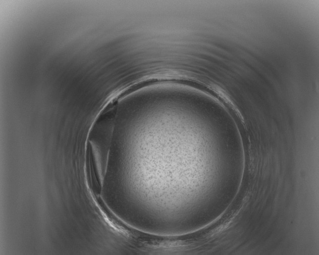 X0000061150845200511241829