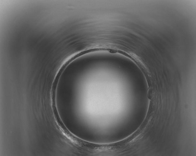 X0000061150846200511241829