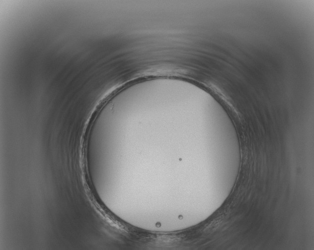 X0000061150848200511241829