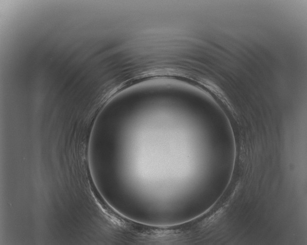 X0000061150849200511241829