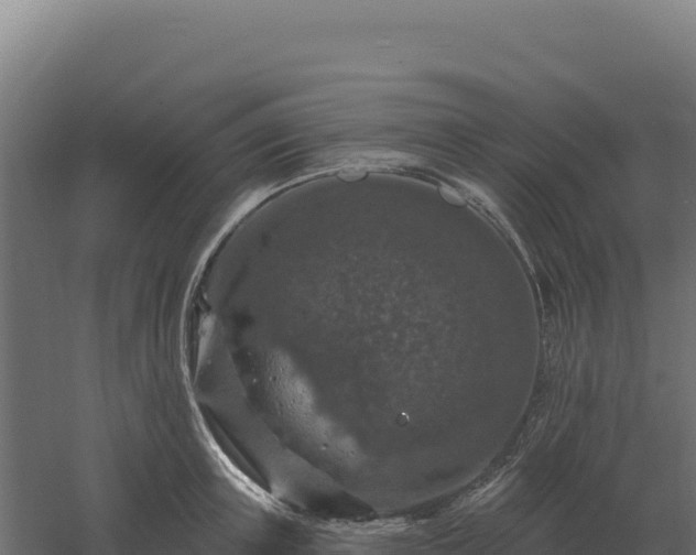 X0000061150851200511241829