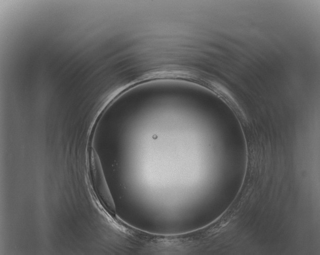 X0000061150852200511241829