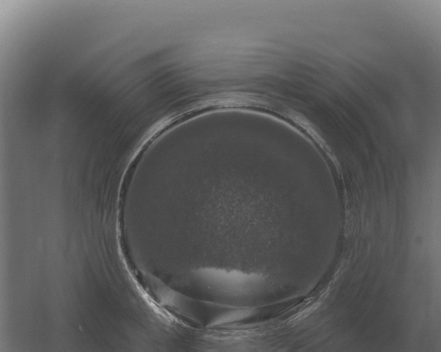 X0000061150853200511241829