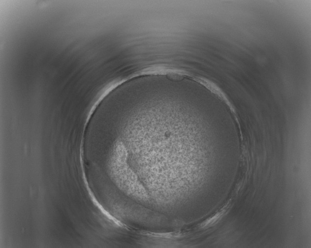 X0000061150855200511241829