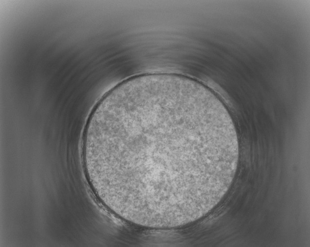 X0000061150856200511241829