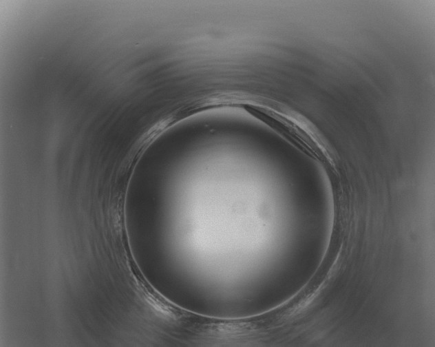 X0000061150857200511241829