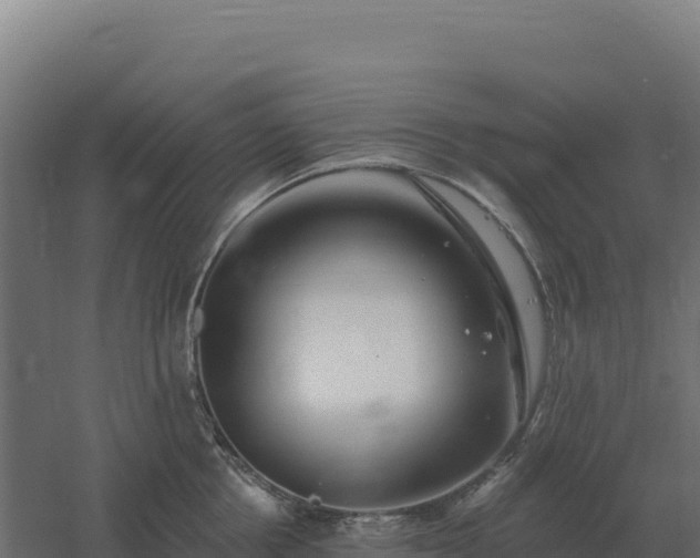 X0000061150858200511241829