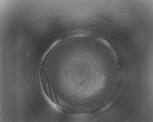 X0000061150859200511241829