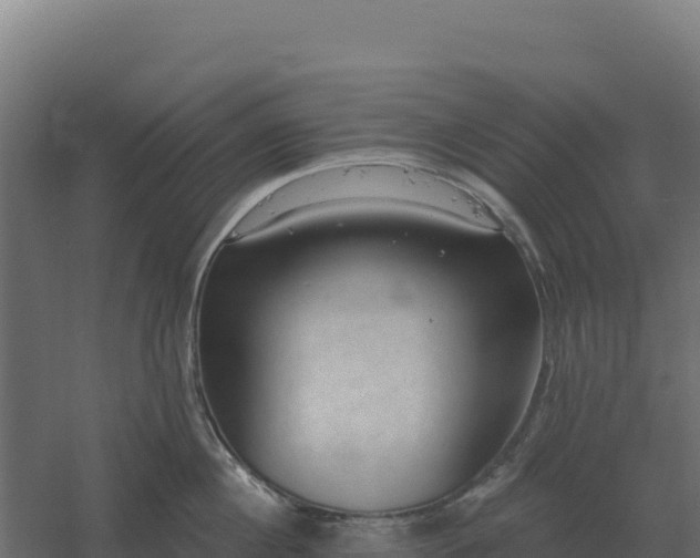 X0000061150860200511241829