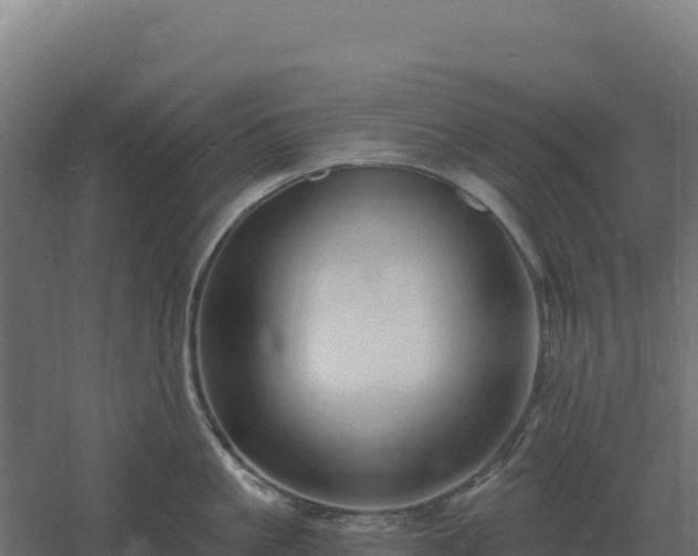 X0000061150861200511241829