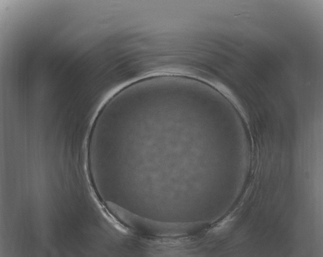 X0000061150862200511241829