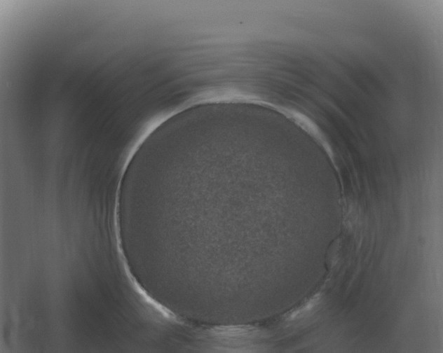 X0000061150863200511241829