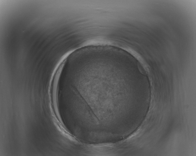 X0000061150864200511241829