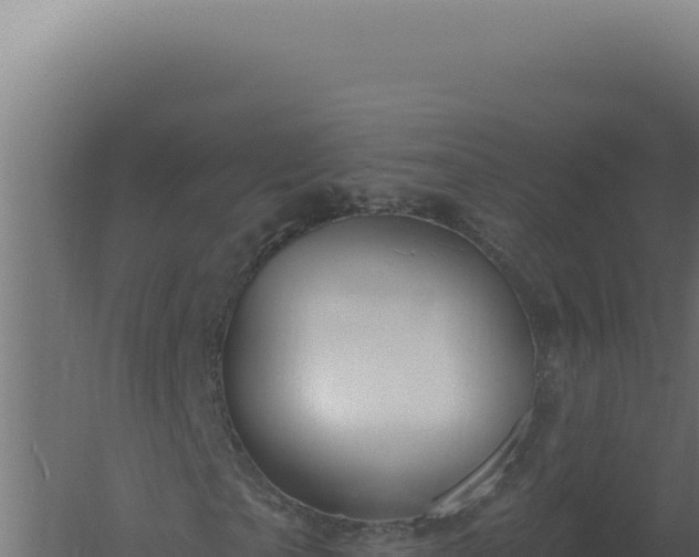 X0000061150865200511241828