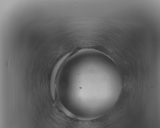 X0000061150866200511241828