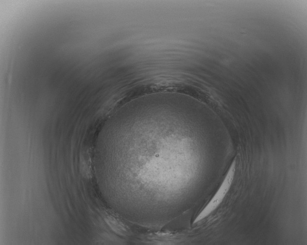 X0000061150868200511241828