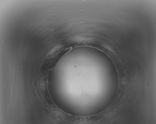 X0000061150869200511241828