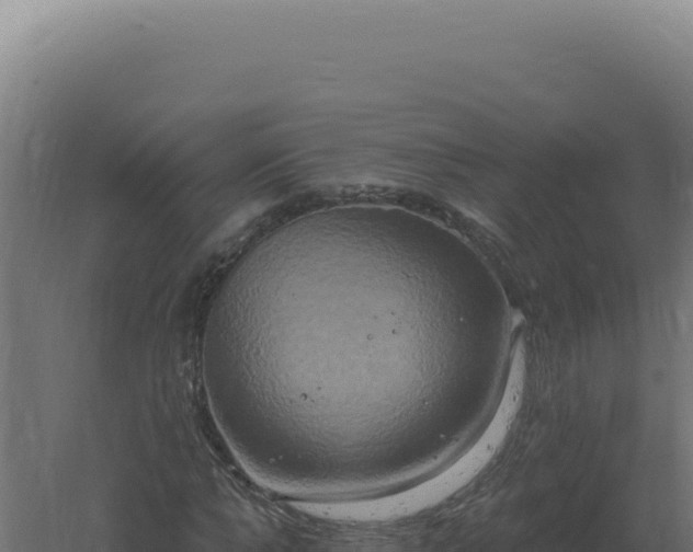 X0000061150870200511241828