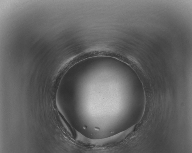 X0000061150872200511241828