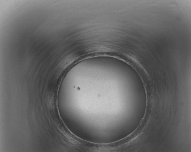 X0000061150873200511241828