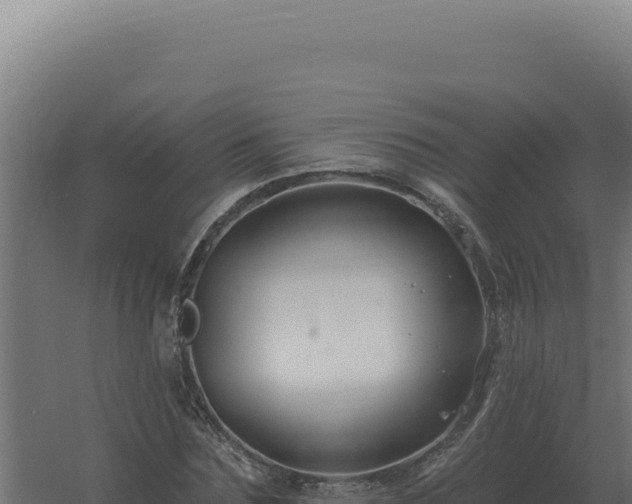 X0000061150875200511241828