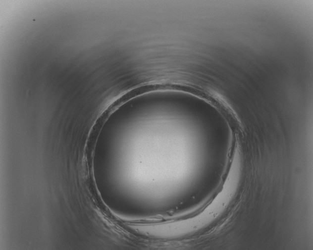 X0000061150876200511241828