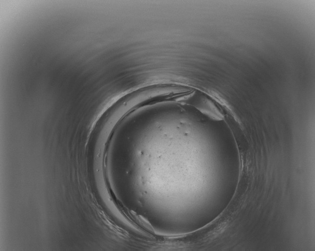 X0000061150877200511241828