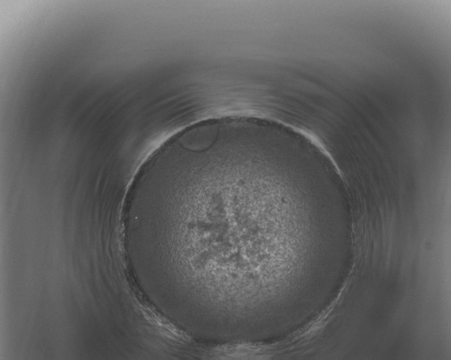 X0000061150879200511241828