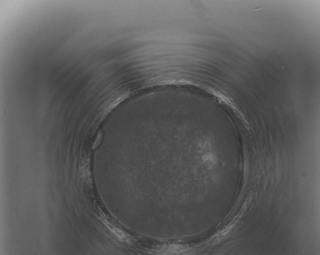 X0000061150881200511241828