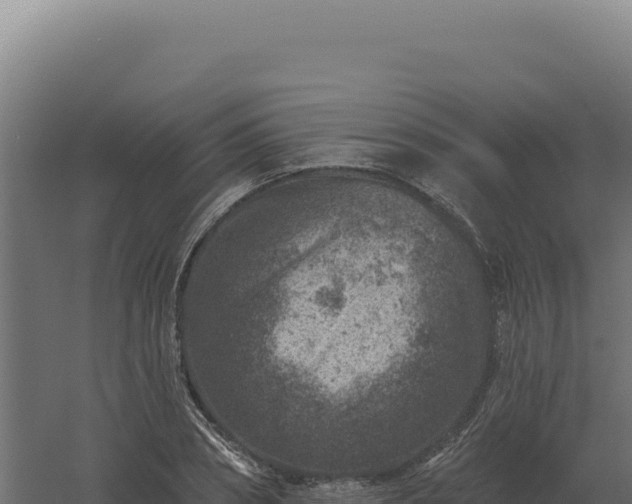 X0000061150882200511241828