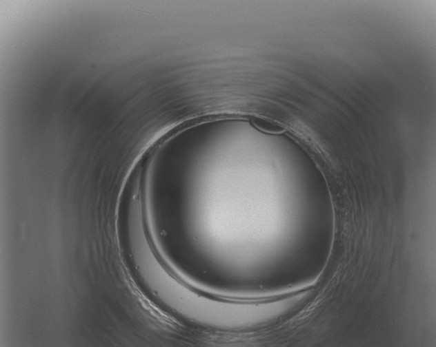 X0000061150884200511241828