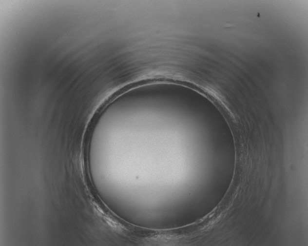 X0000061150888200511241828