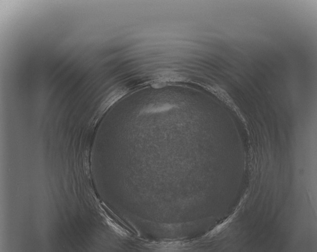 X0000061150889200511241828