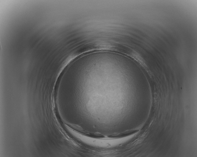 X0000061150891200511241828