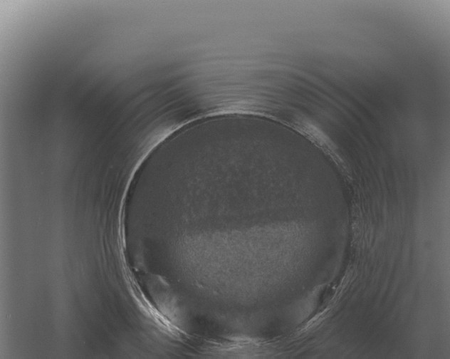 X0000061150892200511241828