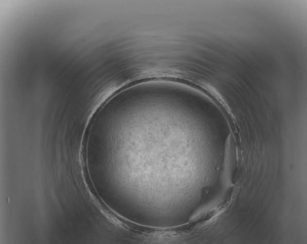 X0000061150893200511241828