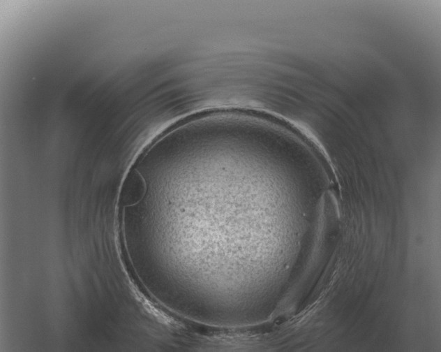 X0000061150895200511241828