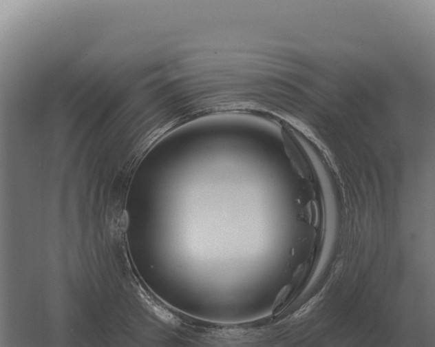 X0000061150897200511241828