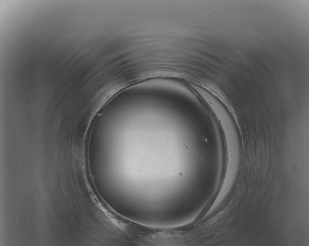 X0000061150898200511241828