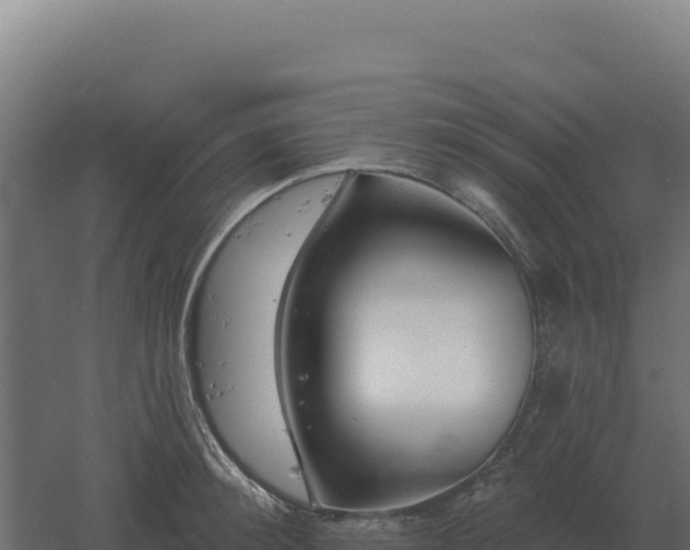 X0000061150900200511241828