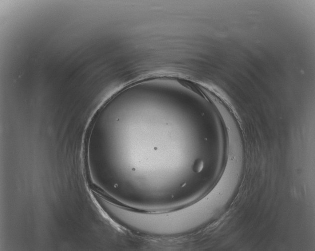 X0000061150902200511241828