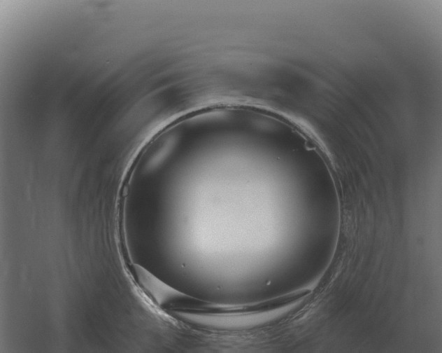 X0000061150903200511241827