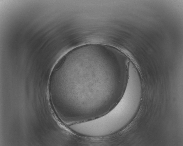 X0000061150904200511241827