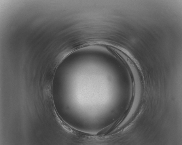 X0000061150905200511241827