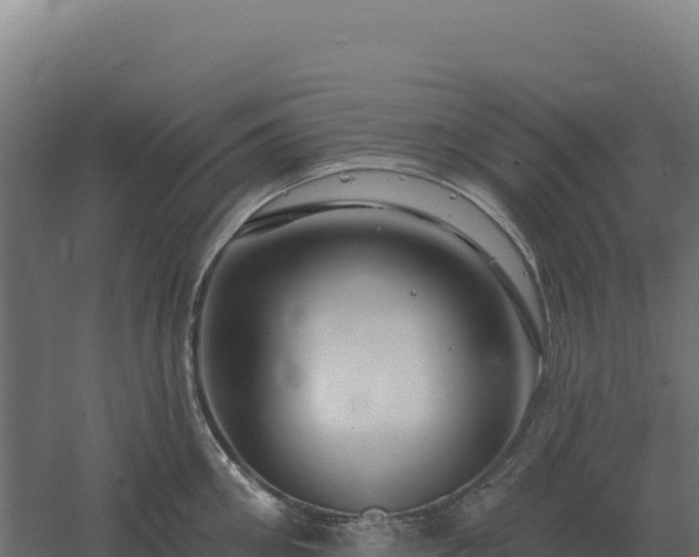 X0000061150906200511241827