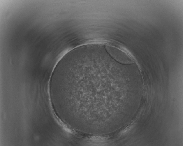 X0000061150907200511241827