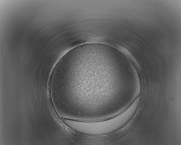 X0000061150908200511241827